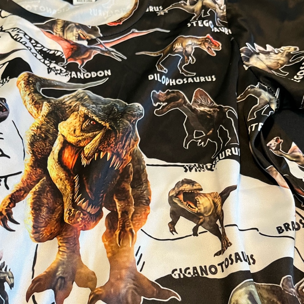 🌹Kids dinosaur T-Shirt. NWOT